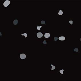 Black_BLK001_Step