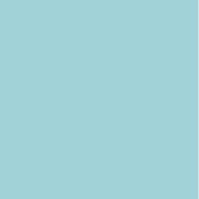 Blue BLU53