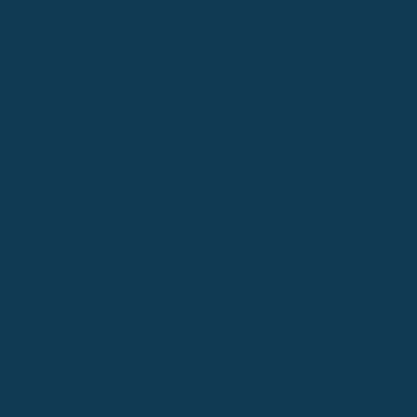 Navy-BLU51