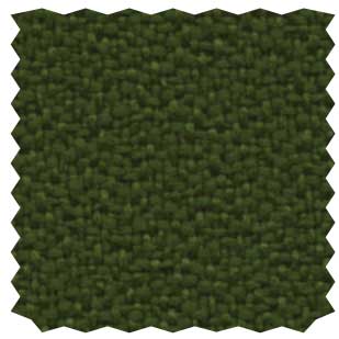 Fern