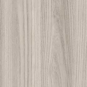 Grey Elm WOD803