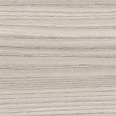 Grey Elm