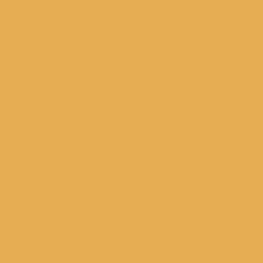 Mustard YLW21