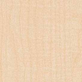 Parchment WHT07