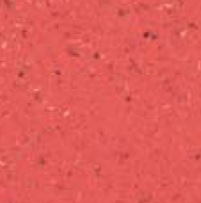 Coral FRW