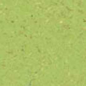 Green Apple