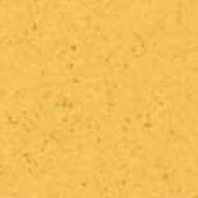 Squash