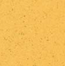 Squash